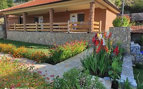Vila Vera Borsko Jezero